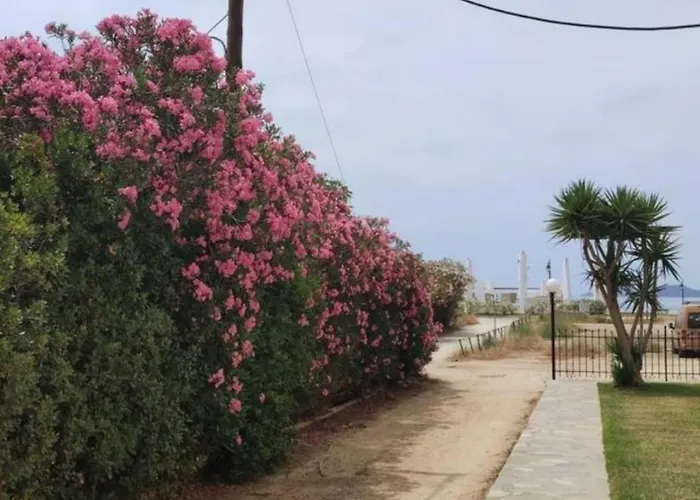 Sunflower Maisonette With Attic Hébergement de vacances *